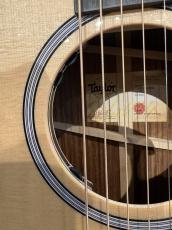 Taylor 414ce Next Generation  S/N 1203166002【ABCトリートメント】_11