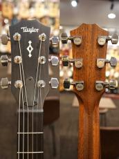 Taylor 314ce Next Generation  S/N 1203236054【ABCトリートメント】_9