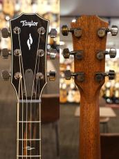 Taylor 814ce Next Generation  S/N 1203166077【ABCトリートメント】_9