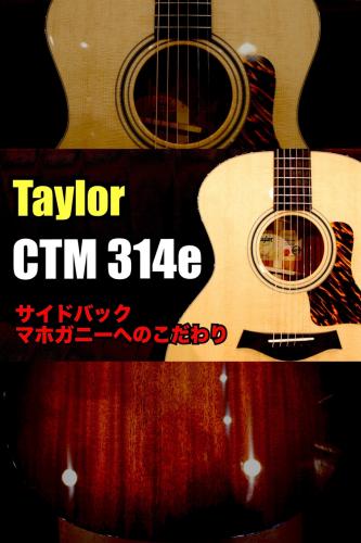 Taylor 【ちょい傷特価】【個体演奏動画あり】CTM 314e S/N 1205235098【サイド&バック マホガニー】