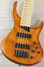 MTD Kingston Z5 -Satin Amber-【4.19kg】