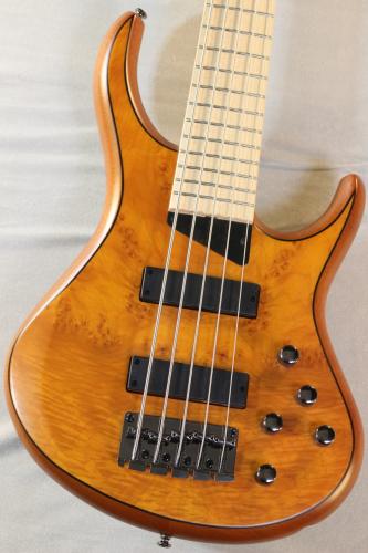 MTD Kingston Z5 -Satin Amber-【4.19kg】