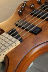 MTD Kingston Z5 -Satin Amber-【4.19kg】_5