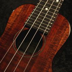 Kanile'a 【新品特価】【良杢個体】【トラ目が魅力】 K-2S/DG #0520-22792_2