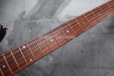 PEAVEY Wolfgang Standard Custom Shop 1'st / Build by John Douglas_4
