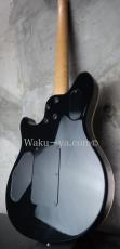PEAVEY Wolfgang Standard Custom Shop 1'st / Build by John Douglas_8