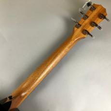 Taylor 224ce-Koa DLX_7