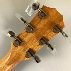 Taylor 224ce-Koa DLX_8