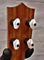 Kamaka HB-2D Concert Deluxe #221341 【コンサート/ロングネック】【Low-G仕様】【デラックスモデル】【48回金利0%対象】【送料込】_9