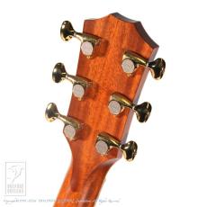 Taylor 812e_8