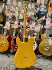 Hamer 【夏のボーナスセール】 1993 T-51 -Butterscotch Blonde- 【Rare!】【MADE IN USA】_4