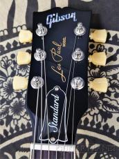 Gibson Les Paul Standard 50s -Gold Top-【#208450293】【4.18kg】_7