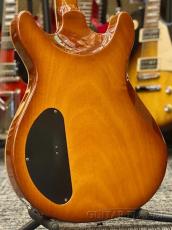 Carruthers 【夏のボーナスセール】 CSA Model with Piezo -Honey Sunburst- 2009年製 【Rare!】【Long Scale】_4