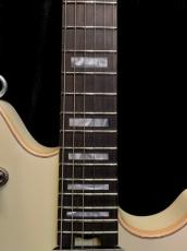 EVH 【夏のボーナスセール】WOLFGANG USA EDWARD VAN HALEN SIGNATURE -Ivory-【MADE IN USA】_7