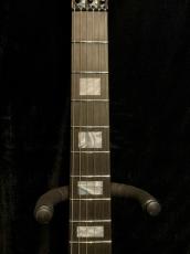 EVH 【夏のボーナスセール】WOLFGANG USA EDWARD VAN HALEN SIGNATURE -Ivory-【MADE IN USA】_8