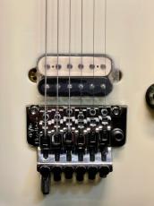 EVH 【夏のボーナスセール】WOLFGANG USA EDWARD VAN HALEN SIGNATURE -Ivory-【MADE IN USA】_9