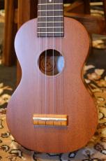 Famous FS-6CST