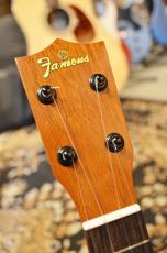 Famous FS-6CST_3