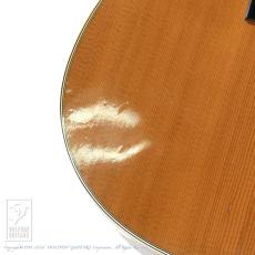Martin D-28_15