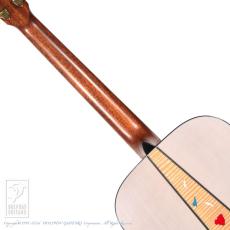 Headway HD-Platanus’26/ATB_6