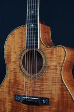 Larrivee LV-10 KK (Eagle)_3