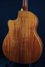 Larrivee LV-10 KK (Eagle)_5