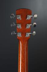 Larrivee LV-10 KK (Eagle)_8