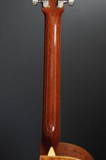 Larrivee LV-10 KK (Eagle)_9