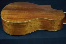 Larrivee LV-10 KK (Eagle)_13