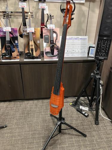 NS DESIGN Electric Cello WAV4《Amberburst》≪ショッピングクレジット無金利&超低金利キャンペーン実施中!!!≫