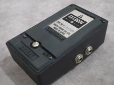 Guyatone PS-006 ANALOG ECHO_4