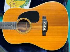 Martin D12-35_2