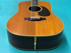 Martin D12-35_11