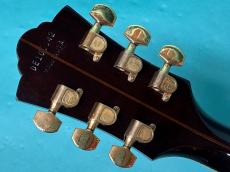 Guild D-55 SB_6