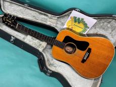 Guild D-50 NT