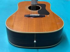 Guild D-50 NT_11