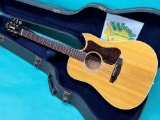 Guild D-40C