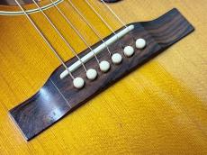Gibson J-160E_10