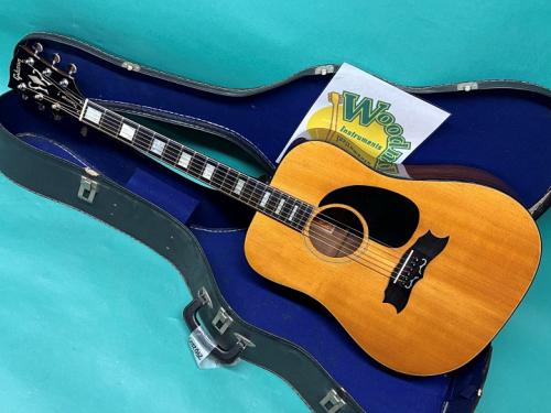 Gibson HERITAGE CUSTOM