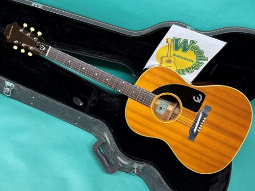 Epiphone FT-45 CORTEZ NT