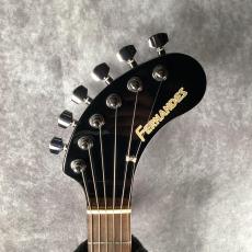 FERNANDES ZO-3 20th Anniversary_2