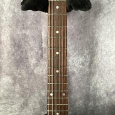 FERNANDES ZO-3 20th Anniversary_3