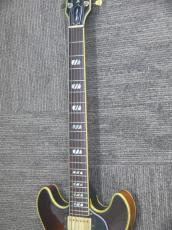 Greco SV-800 BS_7