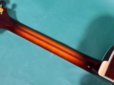 FUJIGEN MASTERFIELD MFA-CT22_8