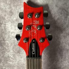 Paul Reed Smith [PRS] SE Custom 24 24-08_2