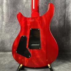 Paul Reed Smith [PRS] SE Custom 24 24-08_8