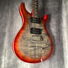 Paul Reed Smith [PRS] SE Custom 24 24-08_9