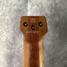 Ibanez Q54-BKF_6
