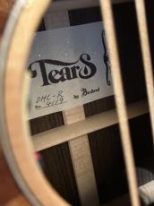 Tears Guitar OMC-R VIP-OEM_6