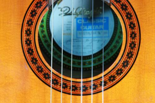 ＤＩ　ＧＩＯＲＧＩＯ NOSTALGIA　NO.38/640mm　松/ハカランダ　1976年